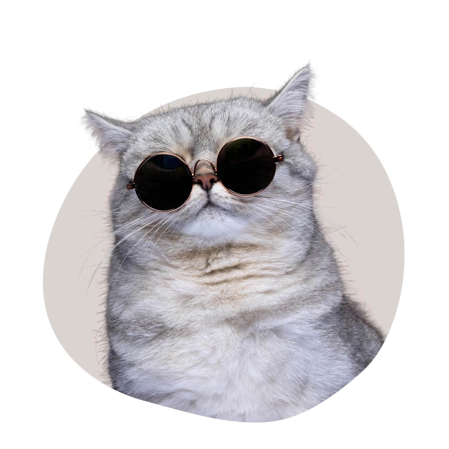 Populairste producten