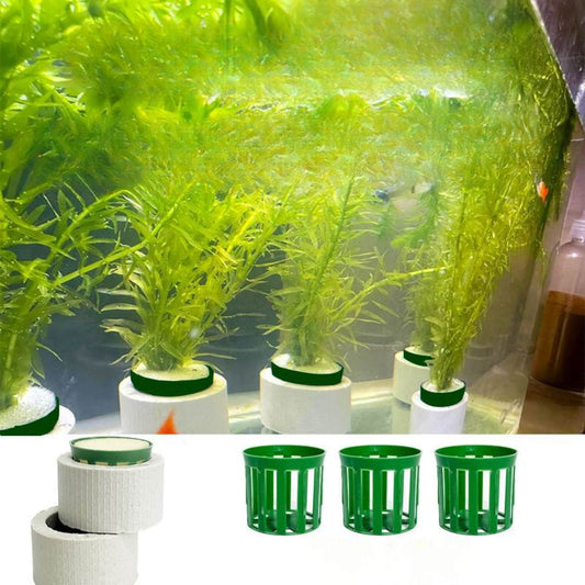 3-delige-aquatische-plantenset-in-aquarium-met-netbekers