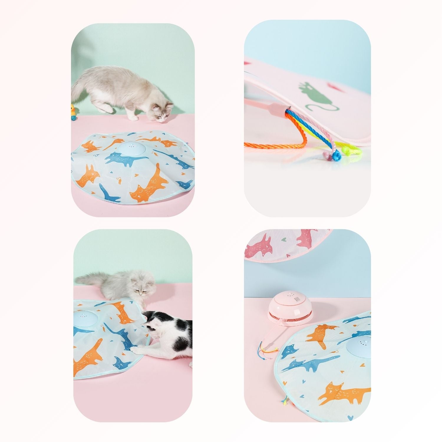 Automatische Katten Teaser collage met verschillende kleuren en ontwerpen