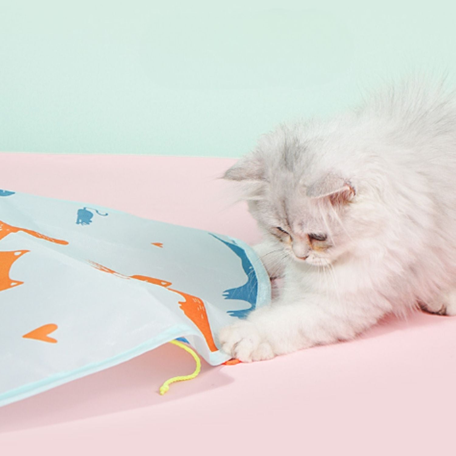 Automatische Katten Teaser met witte kat in interactie trillo.nl