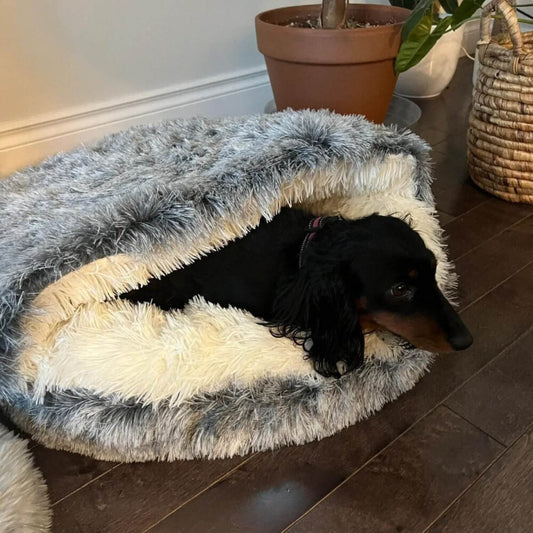 Comfortabel Huisdierbed Katten Honden