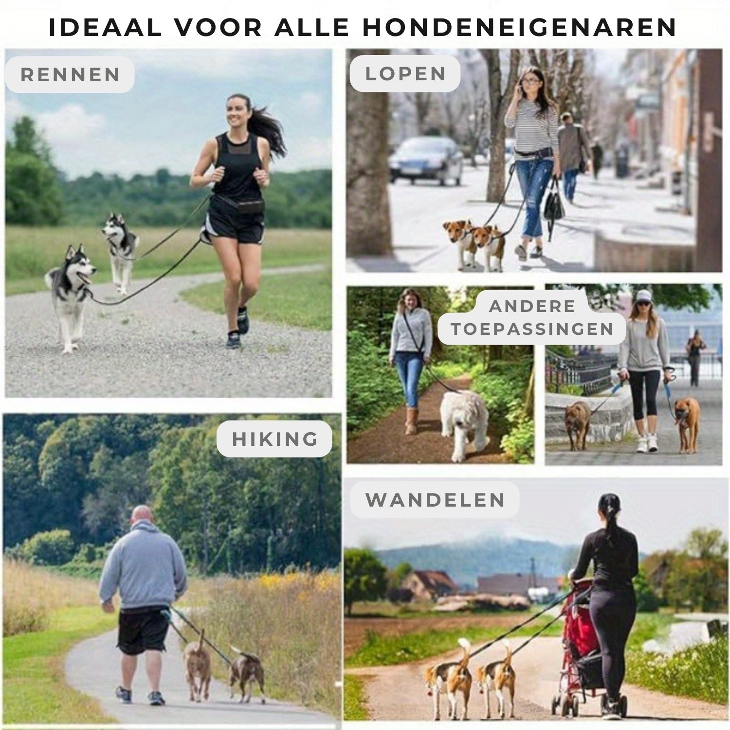 Gebruiksscenario_s voor hondenriem