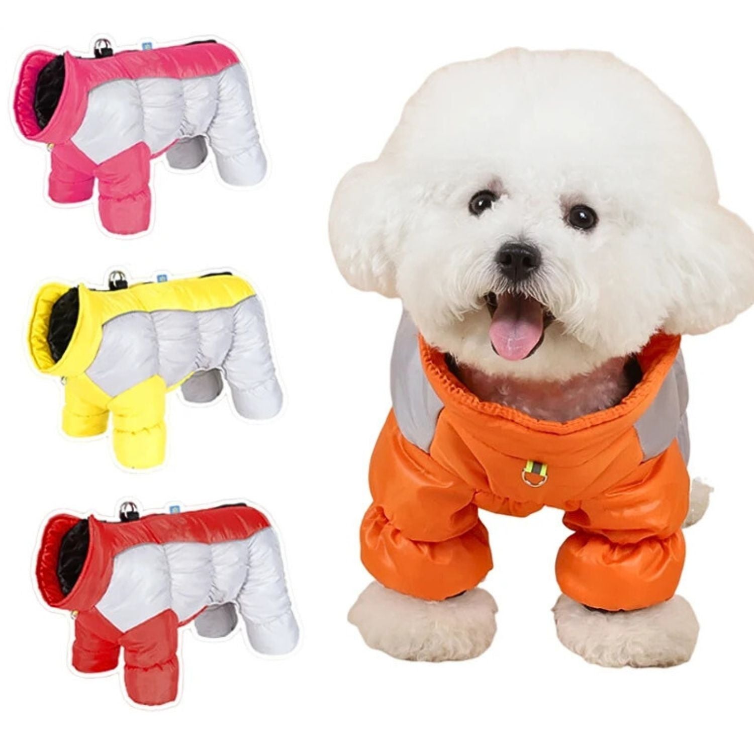 Gezellige hondenjas witte hond in oranje jasje