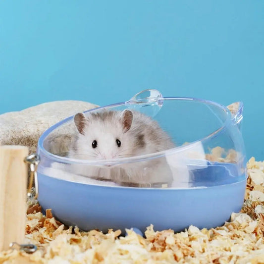 Hamster Antikantel Rijstkom hamster in blauwe voerbak met achtergrond