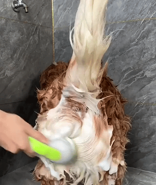 Honden Shampoo Borstel hondenwasborstel in actie met rijke schuimreiniging