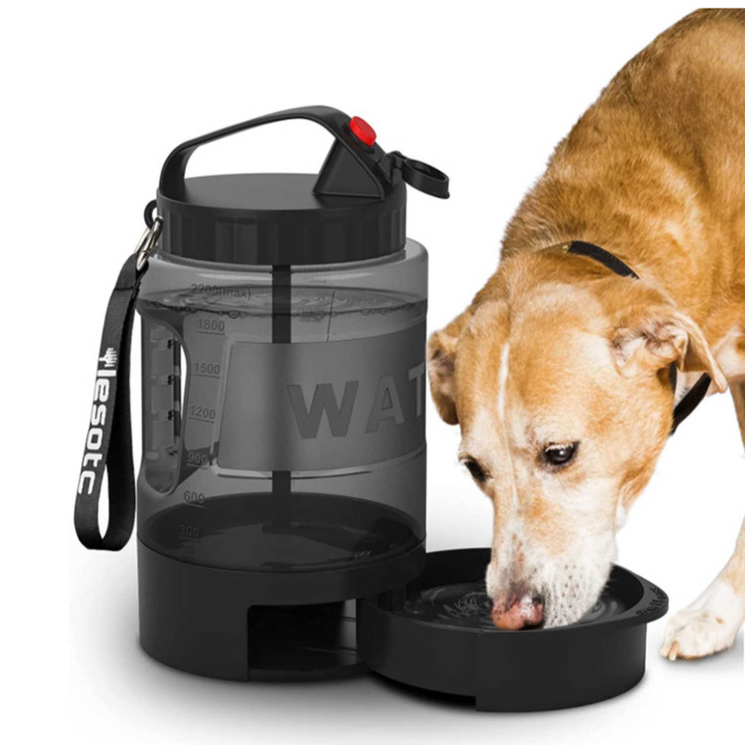 Hondenfles 2.2L Groot hond drinkt uit waterdispenser met uitschuifbare bak