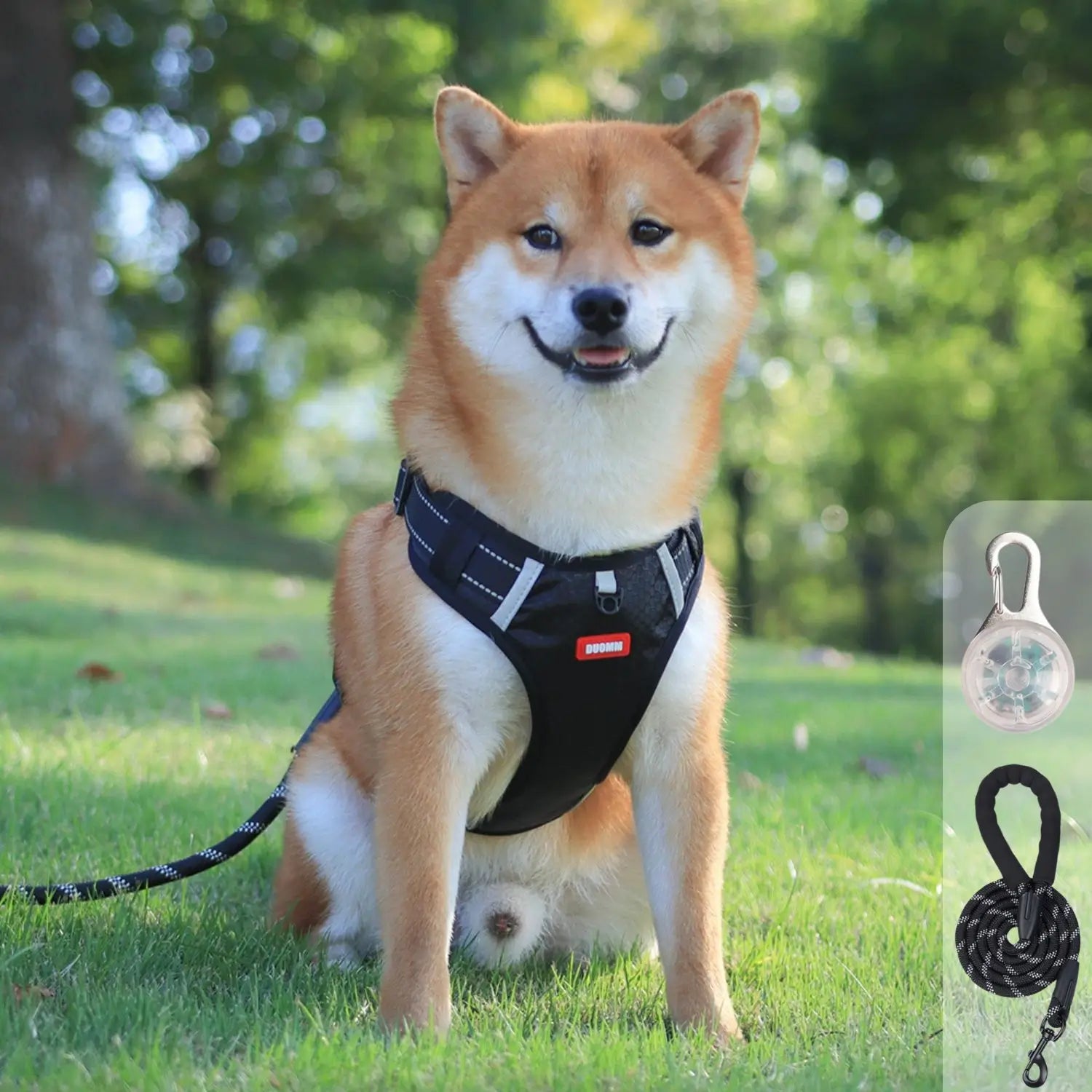 hondenharnas zwart design met led lichtje en riem