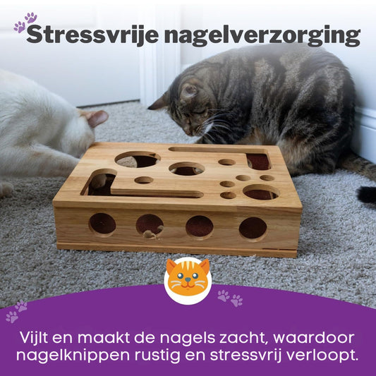 Houten Katten Doolhof Box bengaal kat bij houten puzzel speeldoos