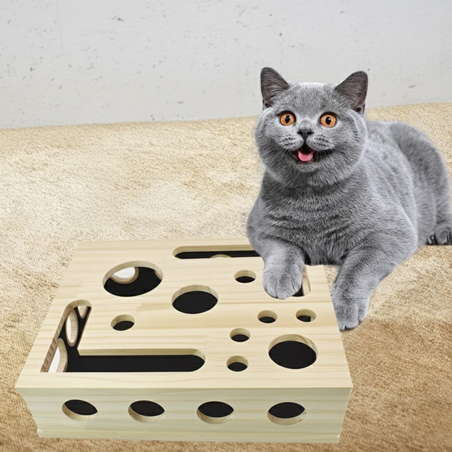 Houten Katten Doolhof Box bovenaanzicht houten puzzel speeldoos