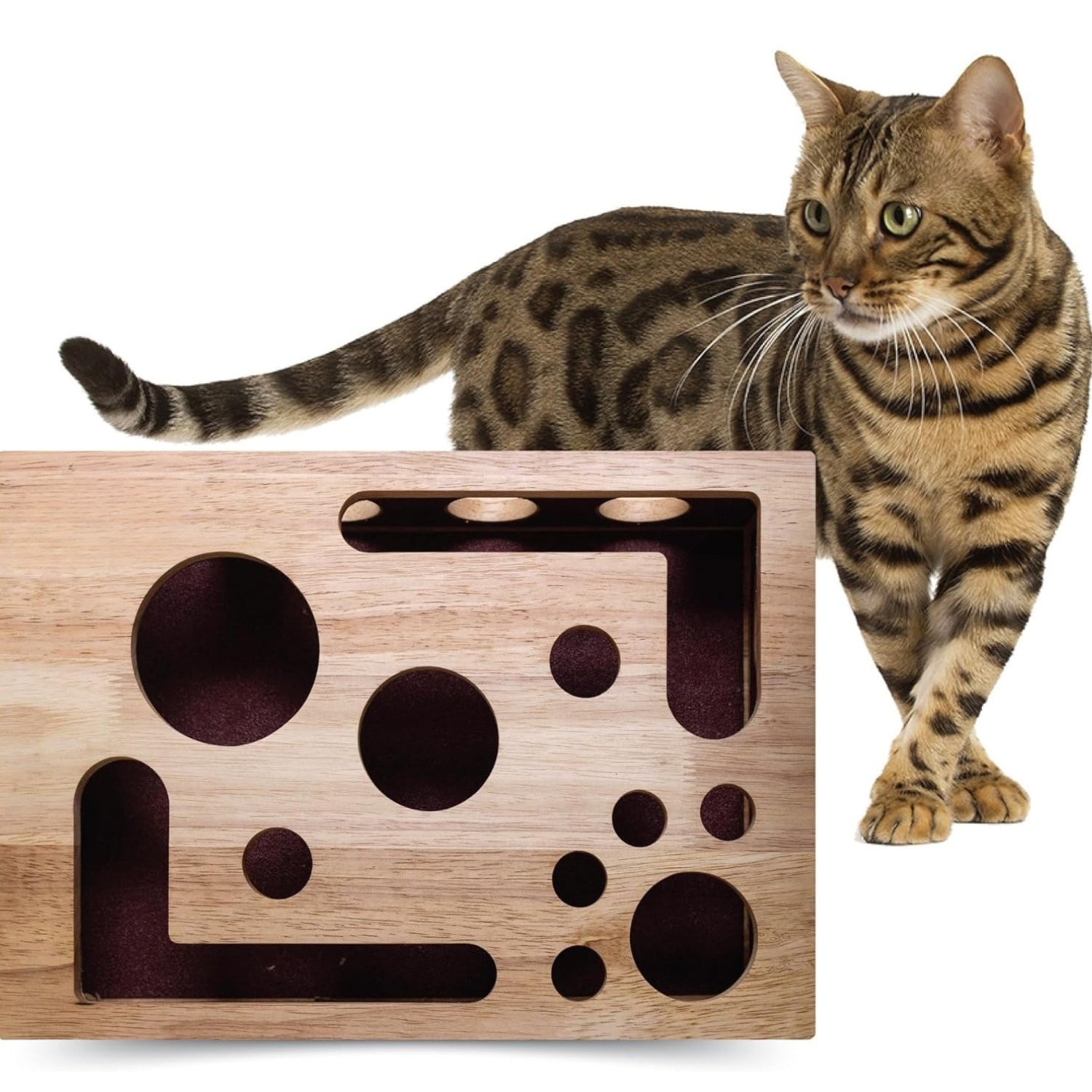 Houten Katten Doolhof Box nagelvijl verrijking puzzel katten speelgoed