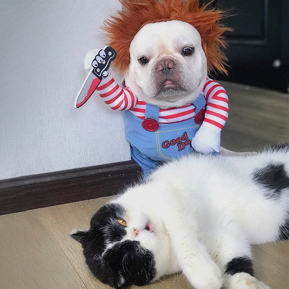 Hond met Chucky kostuum en kat op de grond