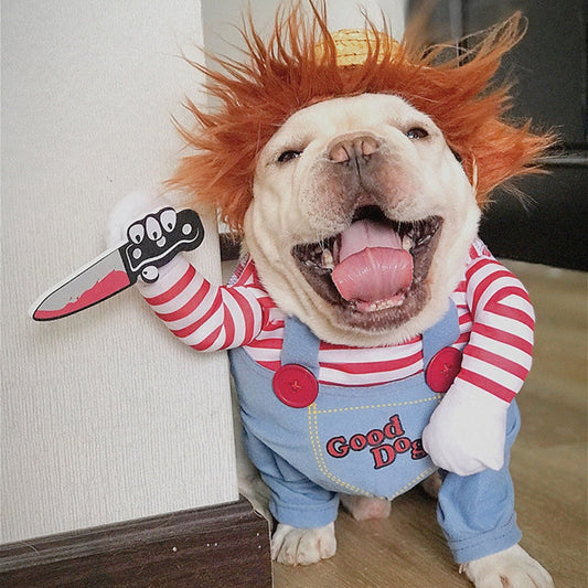 Bulldog blij met chucky kostuum