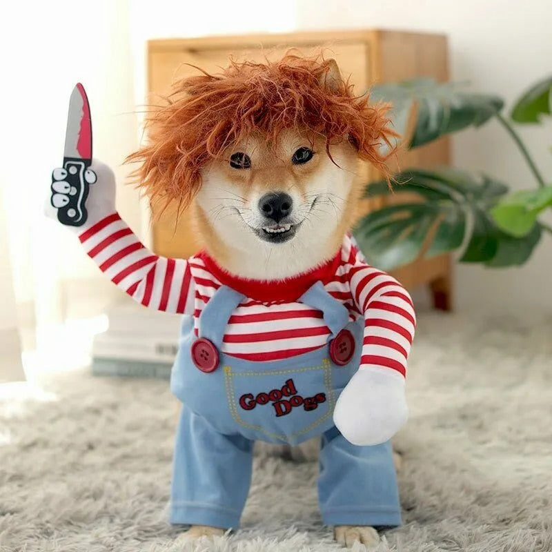 Shibu inu blij met chucky kostuum