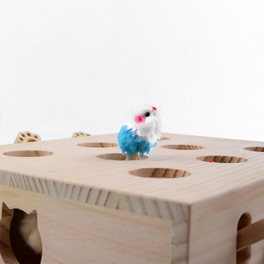 Interactief Kat Speelgoed houten speelgoed met kleine pluche