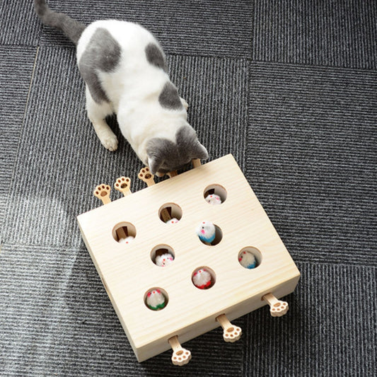 Interactief Kat Speelgoed kat bekijkt speelgoed met gaten