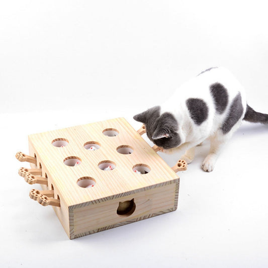 Interactief Kat Speelgoed kat verkennen hout speelgoed