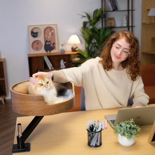 Kattenbed Bureau Verstelbaar persoon met kat en hangend bed