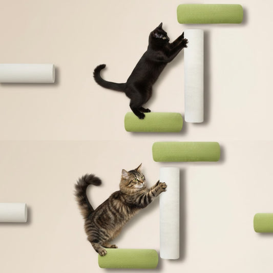 Kattenboom Wandkrabber katten klimmen op wandkrabber groene rollen