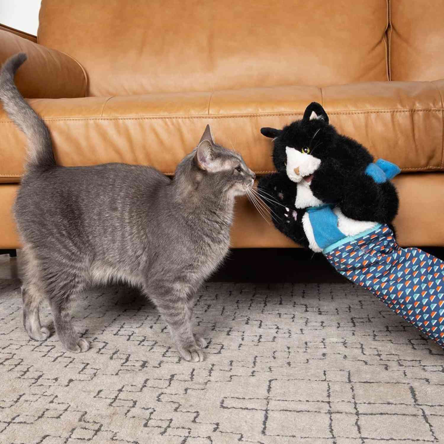 Kattenhandschoen Pop Speelset nieuwsgierige kat snuffelt aan kattenpop speelhandschoen