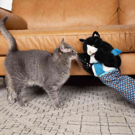 Kattenhandschoen Pop Speelset nieuwsgierige kat snuffelt aan kattenpop speelhandschoen