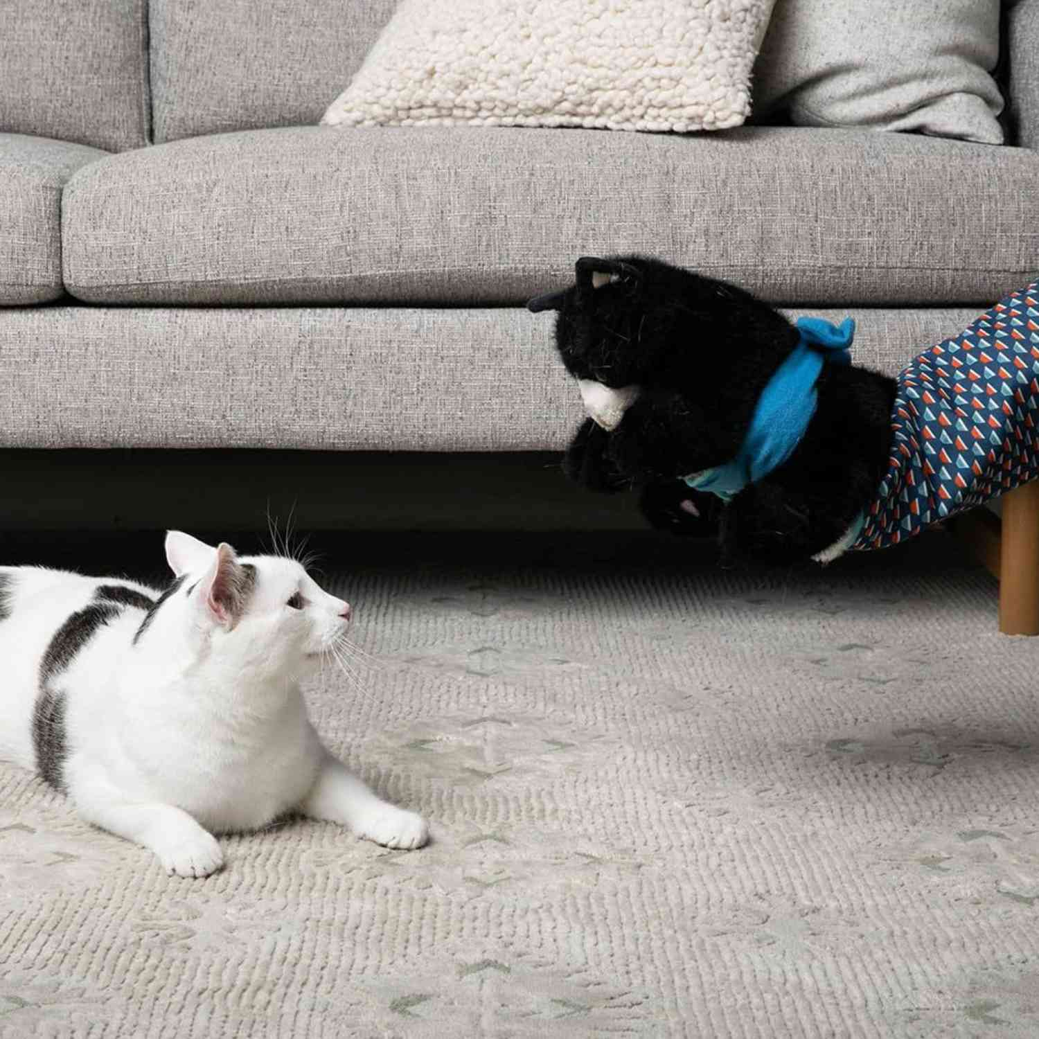 Kattenhandschoen Pop Speelset witte kat kijkt naar hangende kattenpop handschoen
