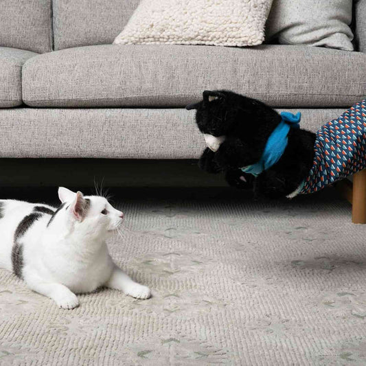 Kattenhandschoen Pop Speelset witte kat kijkt naar hangende kattenpop handschoen