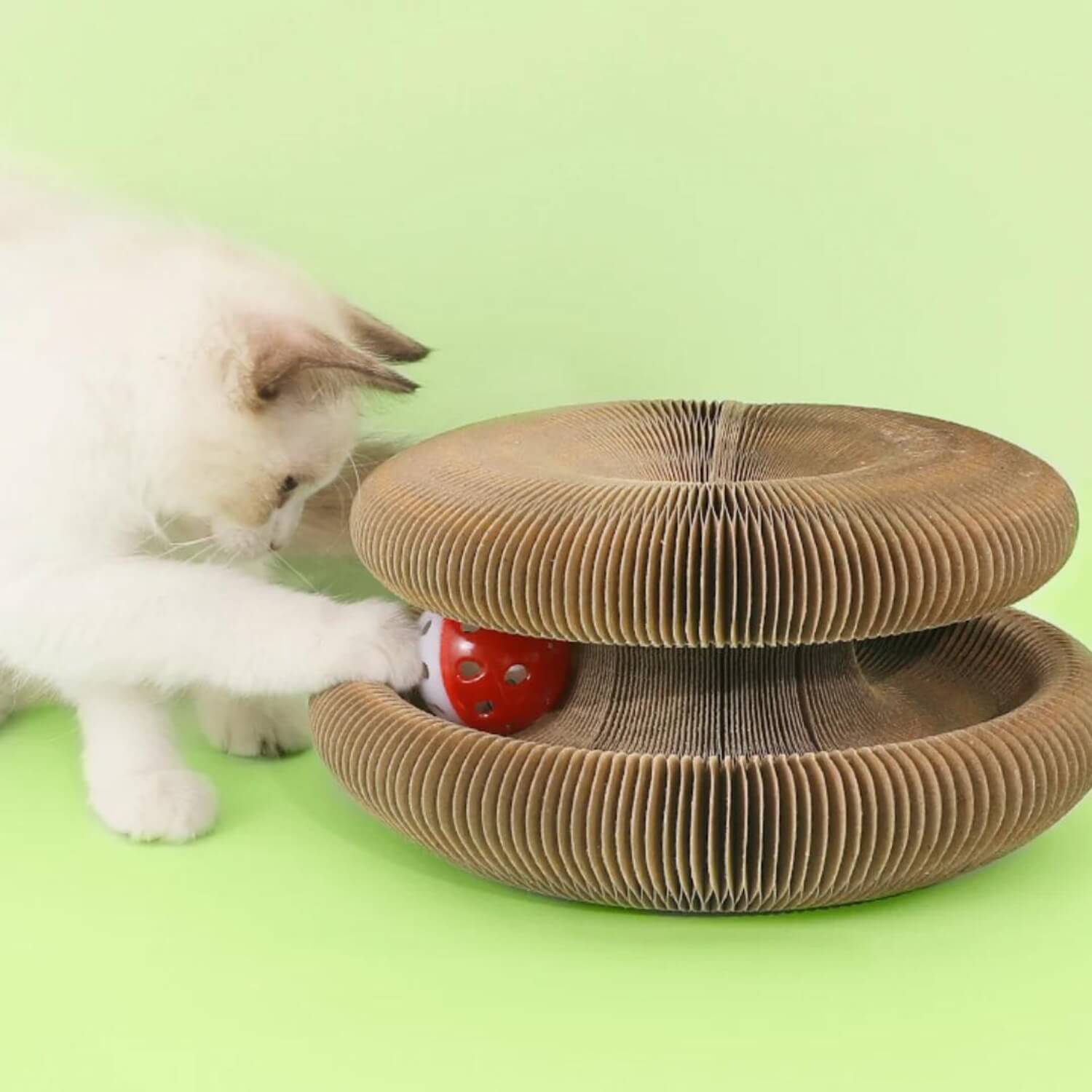 Kattenscratcher Krabben Spelen Relaxen Liggen