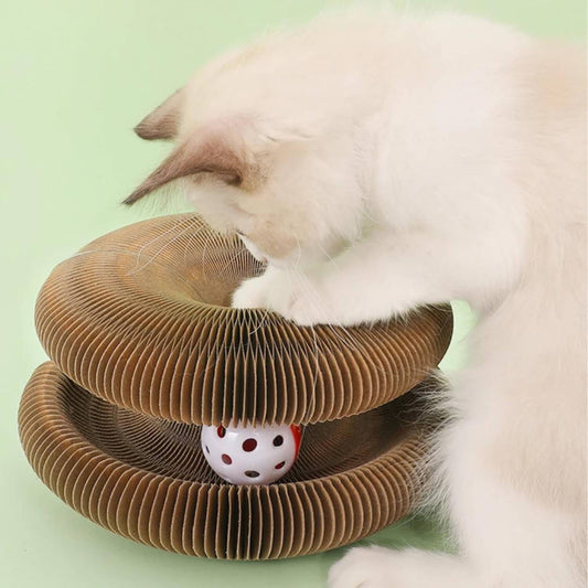 Kattenscratcher Krabben Spelen Relaxen Switchen