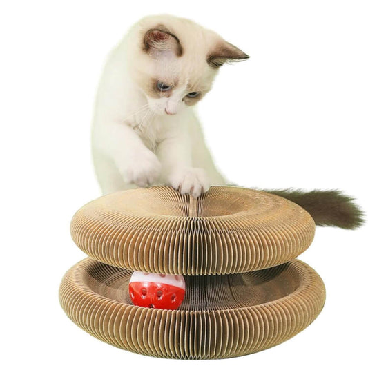 Kattenscratcher Krabben Spelen Relaxen