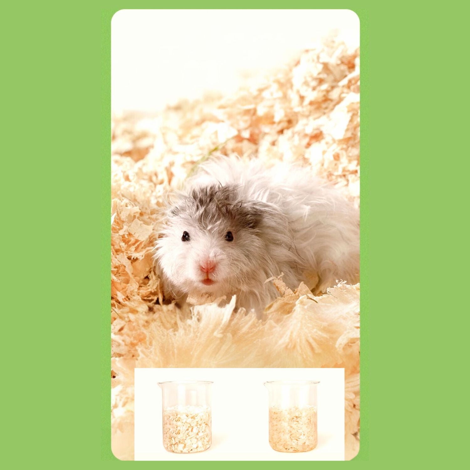 Kleine Dier Houtsnippers Mat Natuurlijke houtkrullen