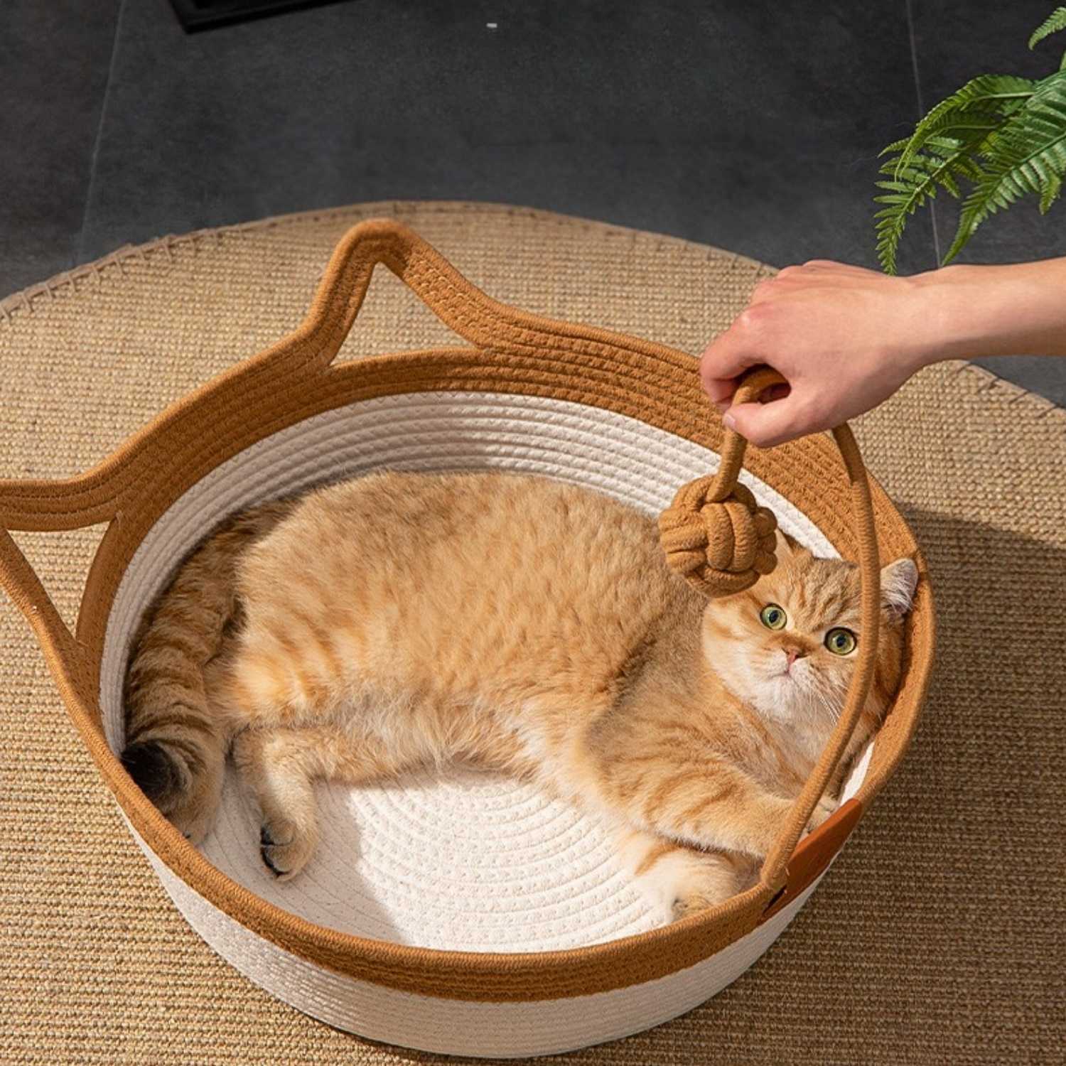 Krabmand Rattan Kat kattenmand met speelkoord en kat