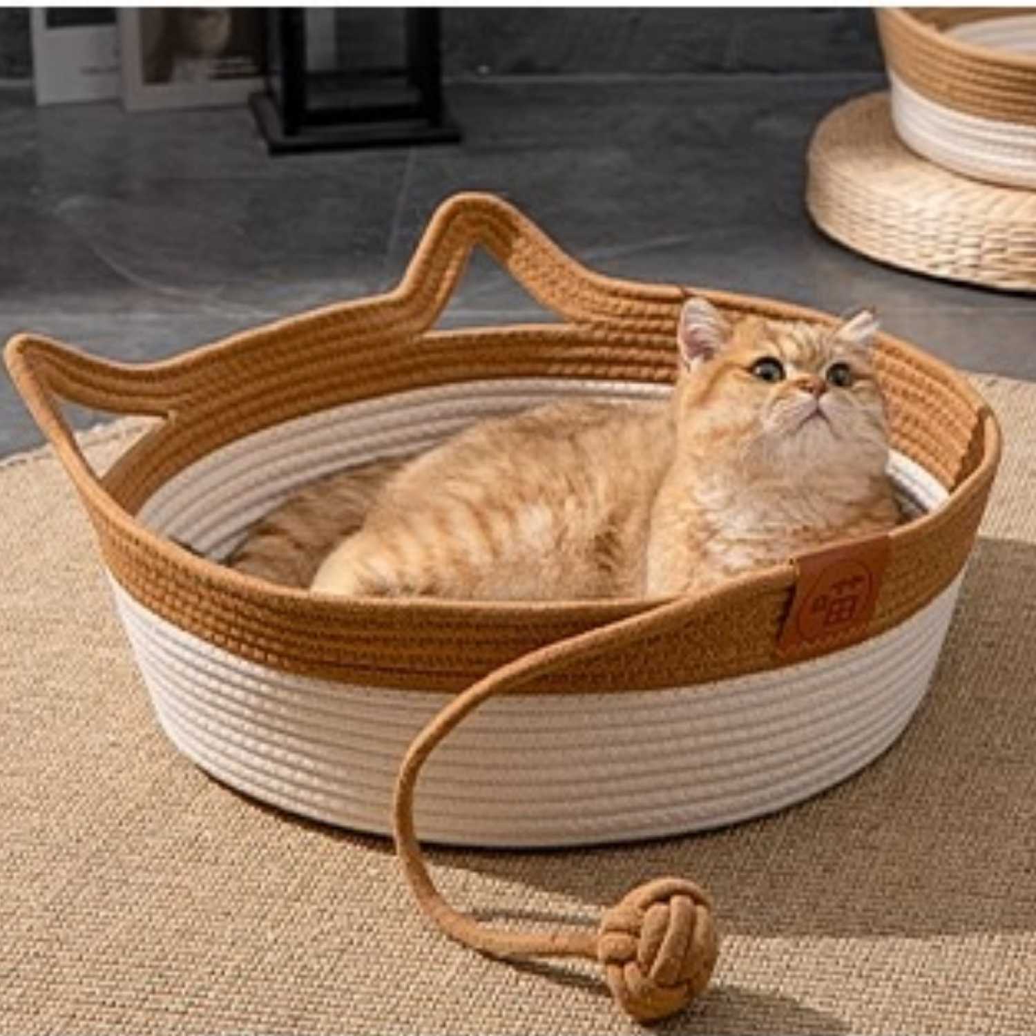 Krabmand Rattan Kat rond kattenmand met kat