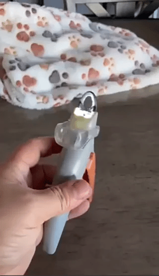 LED Nagelknipper Huisdieren led nagelknipper handheld demonstratie op tafel