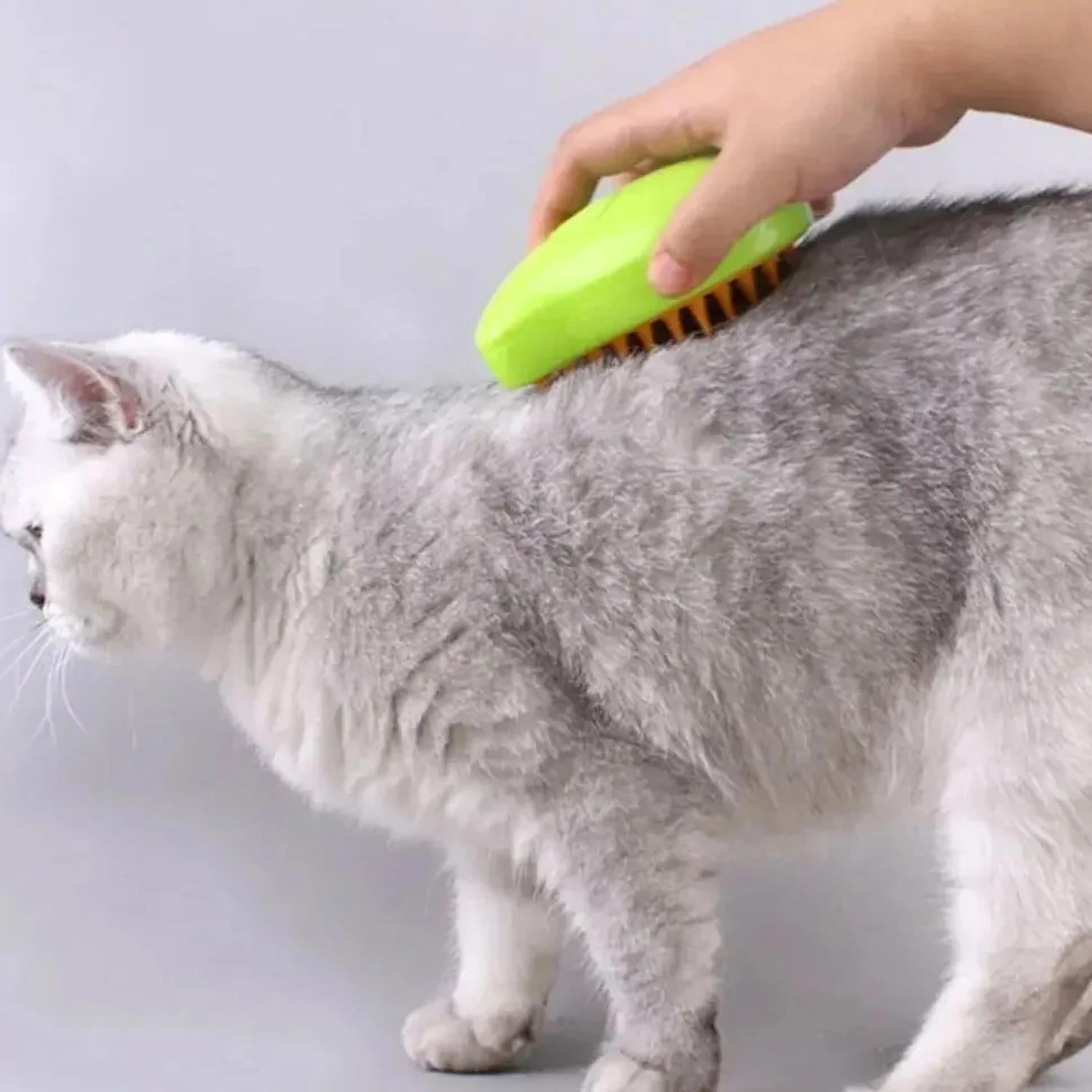 Laadpoort en Schakelaar Kattenborstel