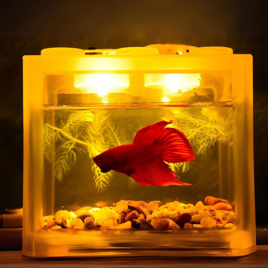 Mini Eco aquarium geel verlichte mini aquarium met rode vis