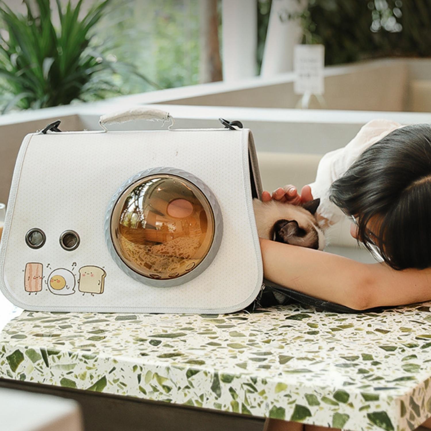 Moderne kattenmand Kattenreistas in klare witte stijl