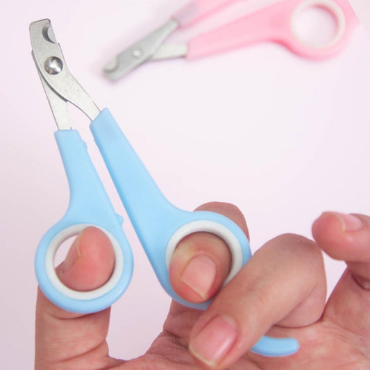 Purrfect Dieren Nagelknippers kleine lichtblauwe huisdier clipper in hand