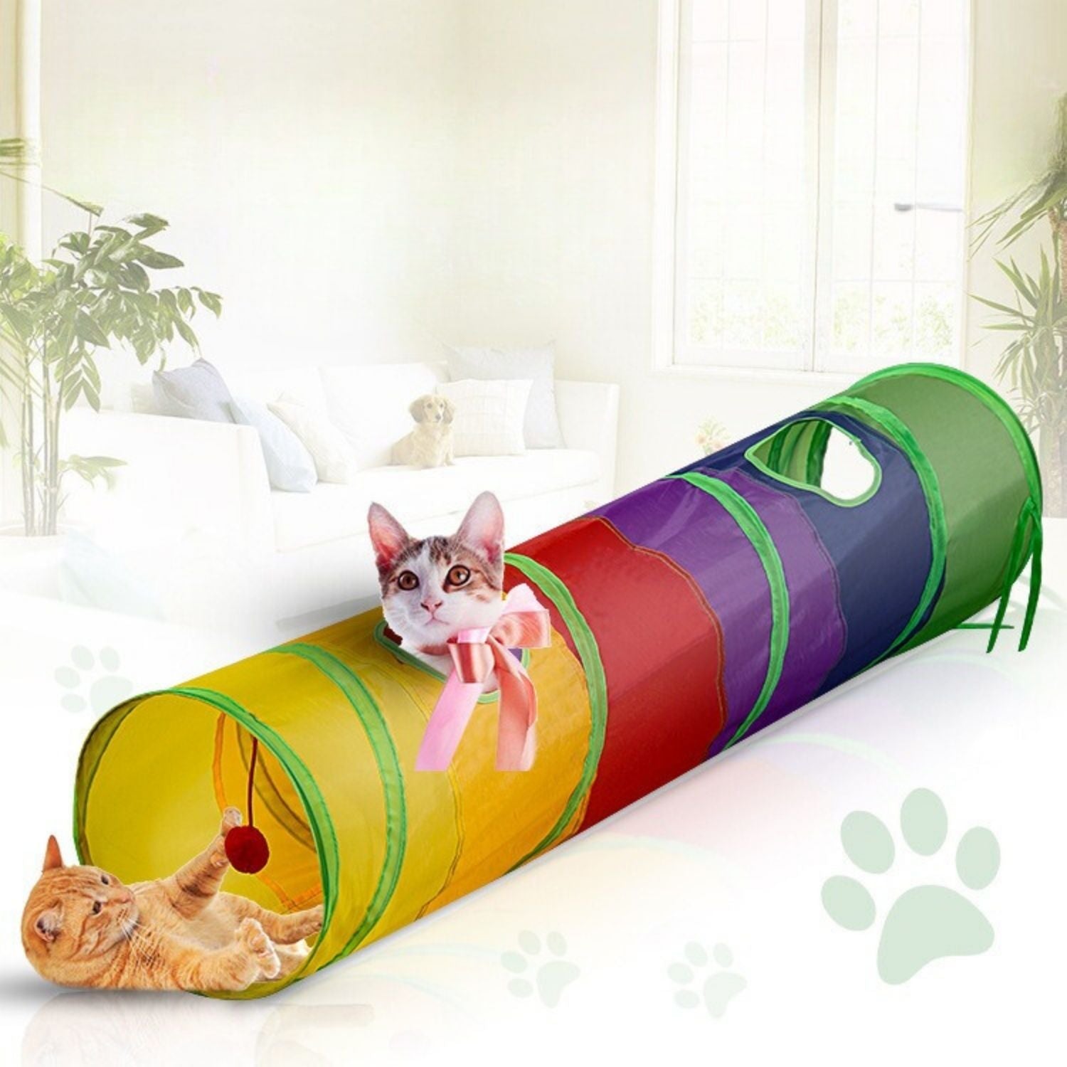 Regenboog Katten Tunnel kat speelt in tunnel met andere huisdier in de achtergrond