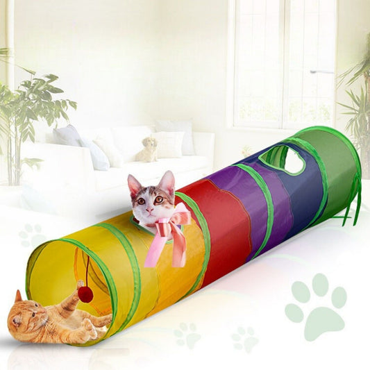 Regenboog Katten Tunnel kat speelt in tunnel met andere huisdier in de achtergrond