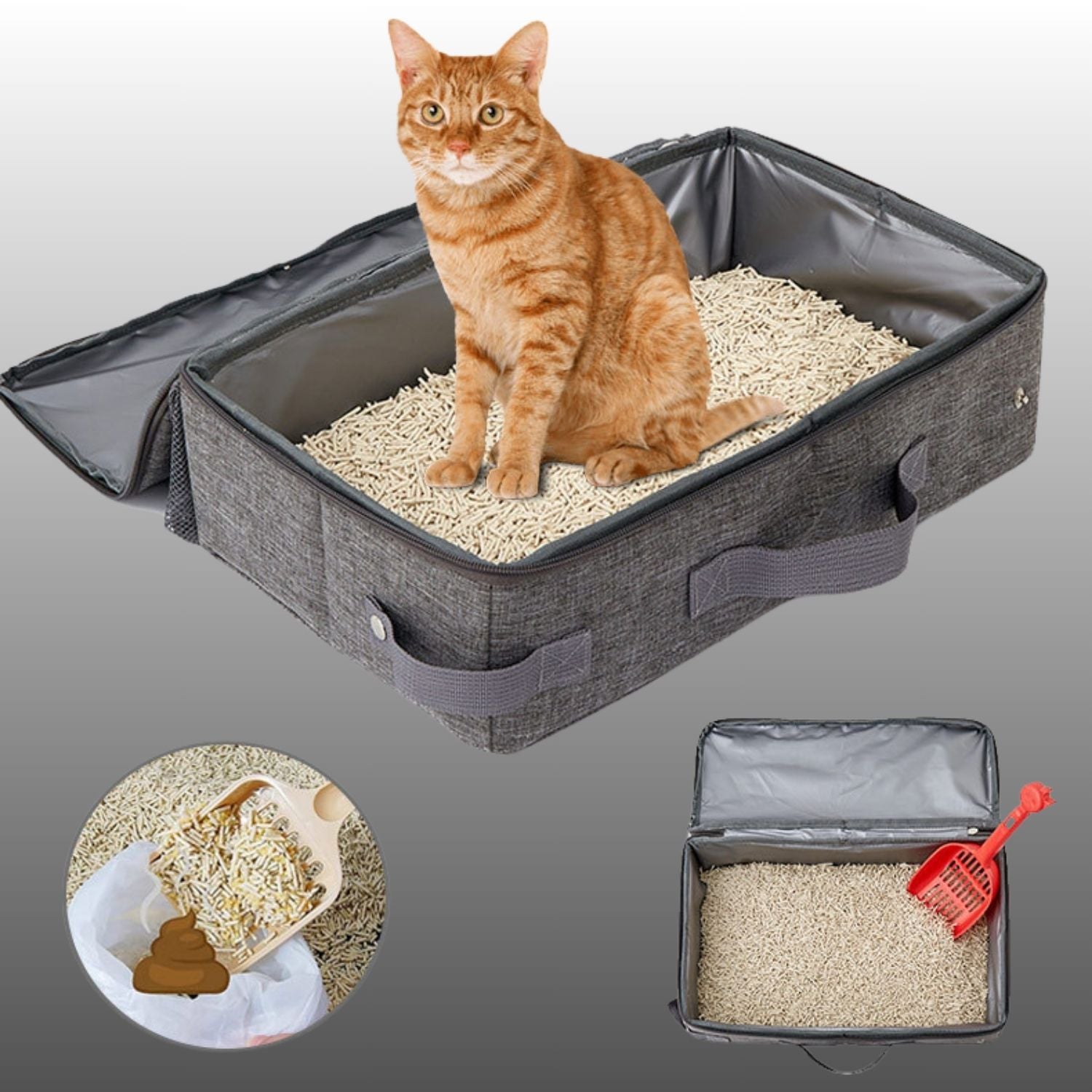 Reis Kat Toilet oranje kat zittend op kattenbak vulling