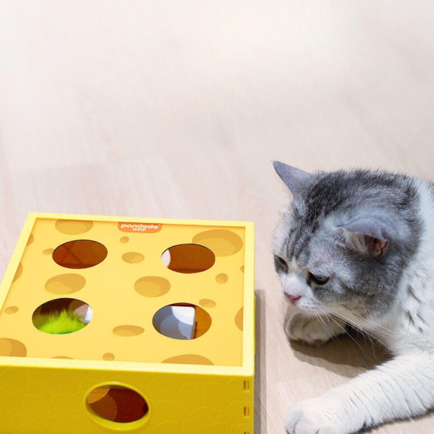 Slimme Kaasdoos Kat Speelgoed kat kijkt naar speeldoos