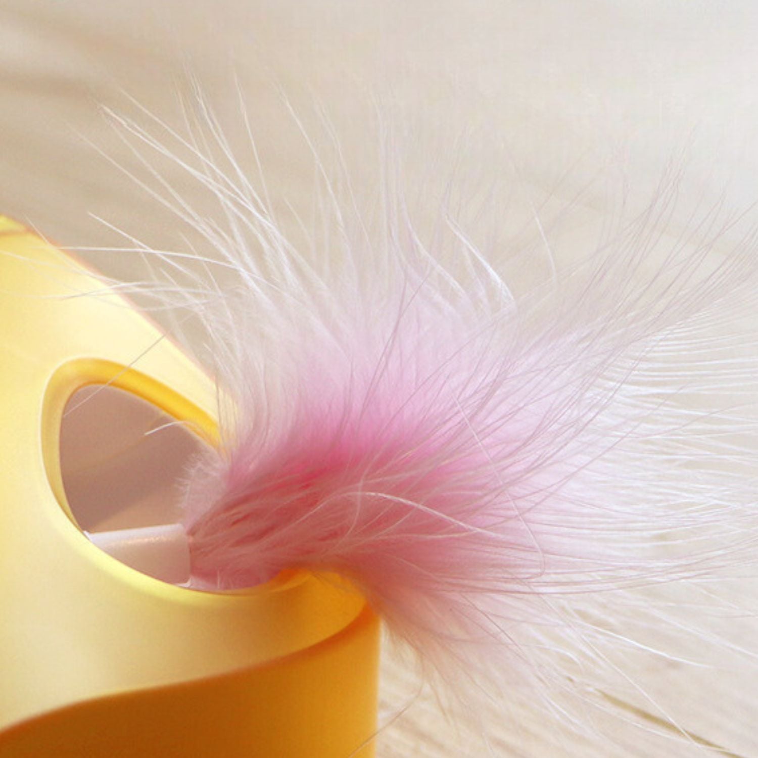 Slimme Kattenveer Speelgoed Geel doos bevattend zachte roze veertje