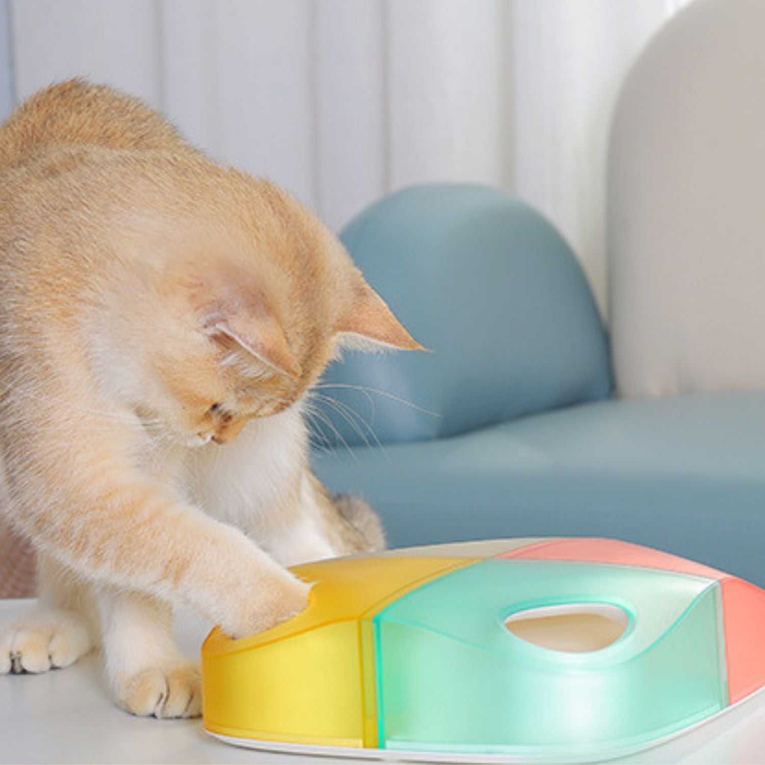 Slimme Kattenveer Speelgoed Speelse kat bat met kleurig speelgoed op houten tafel