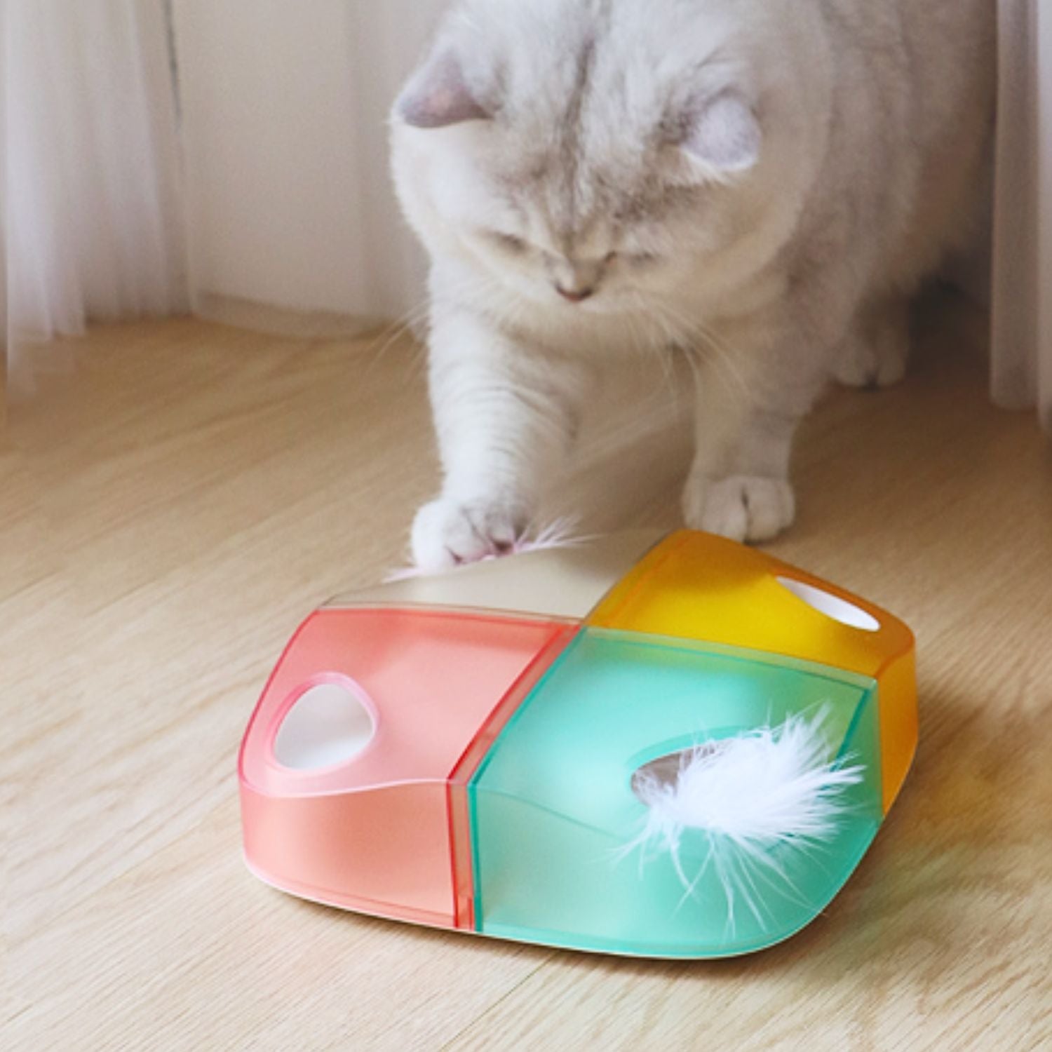Slimme Kattenveer Speelgoed Speelse kat interactief met kleurig speelgoed op vloer