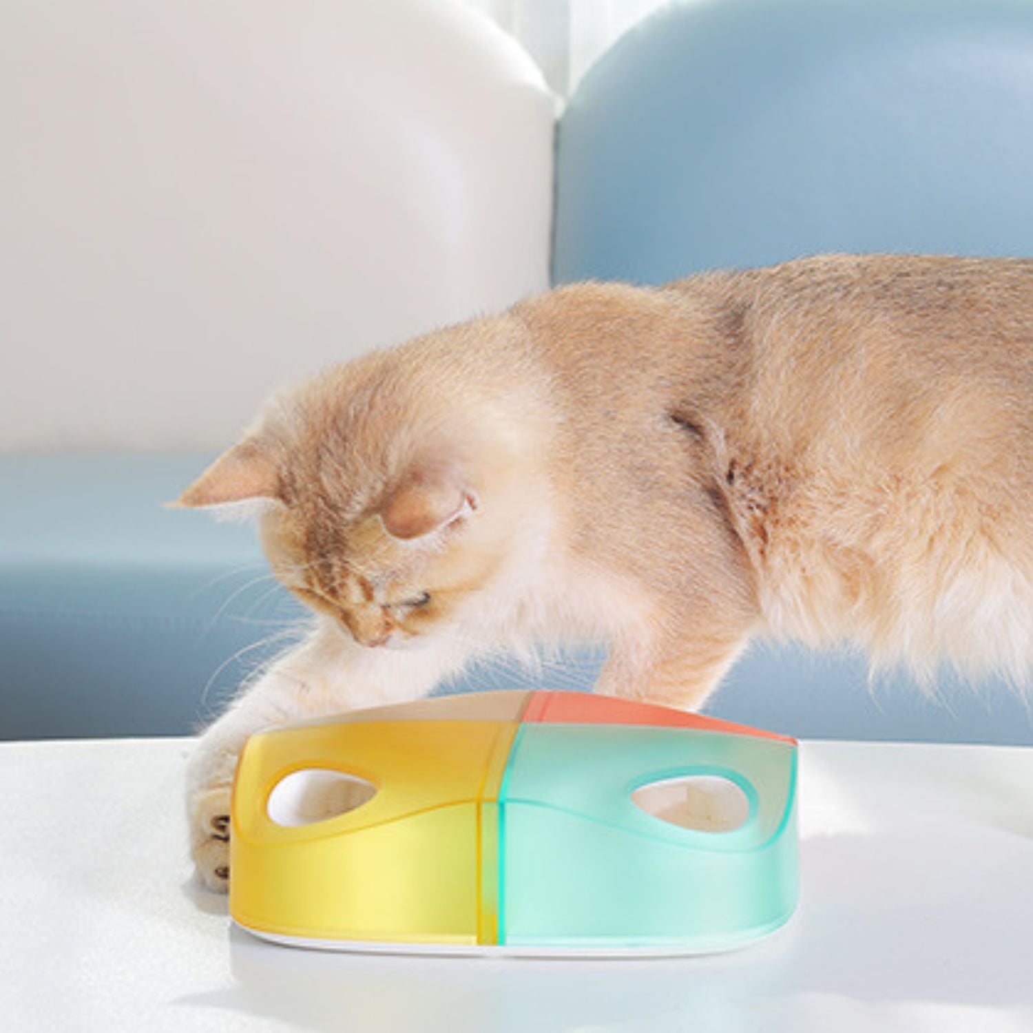 Slimme Kattenveer Speelgoed Speelse kat swat met kleurig speelgoed op houten tafel