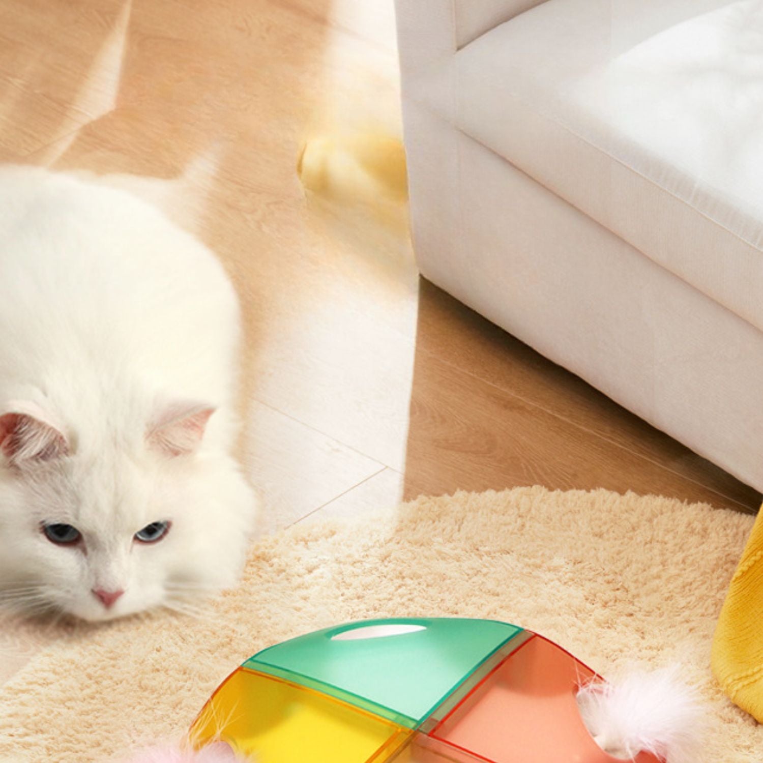 Slimme Kattenveer Speelgoed Witte kat relaxend op rug bij kleurrijk speelgoed