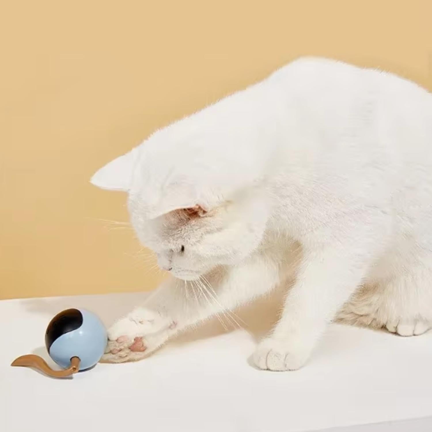 Slimme Plagenbal interactief speelgoed voor huisdieren