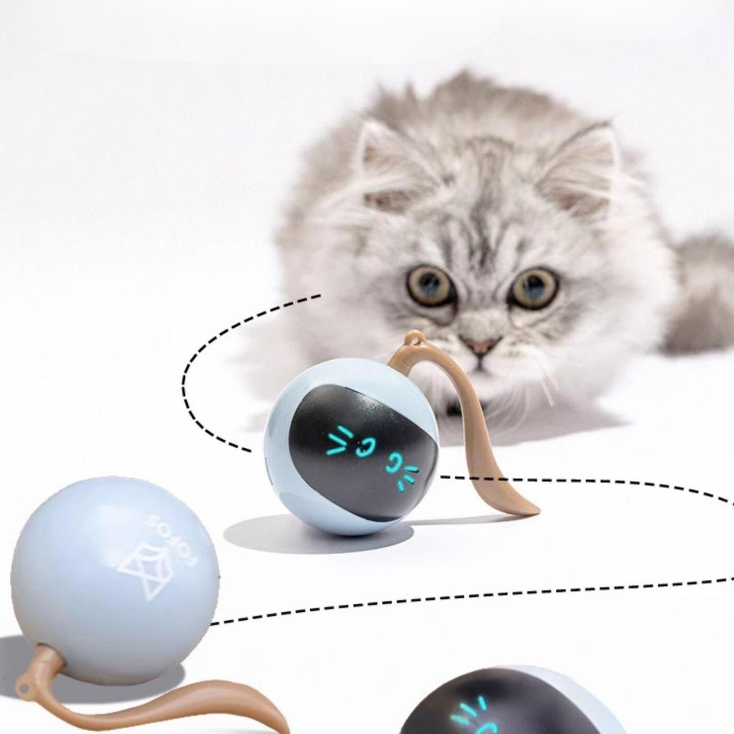 Slimme Plagenbal katten speelgoed interactieve bal