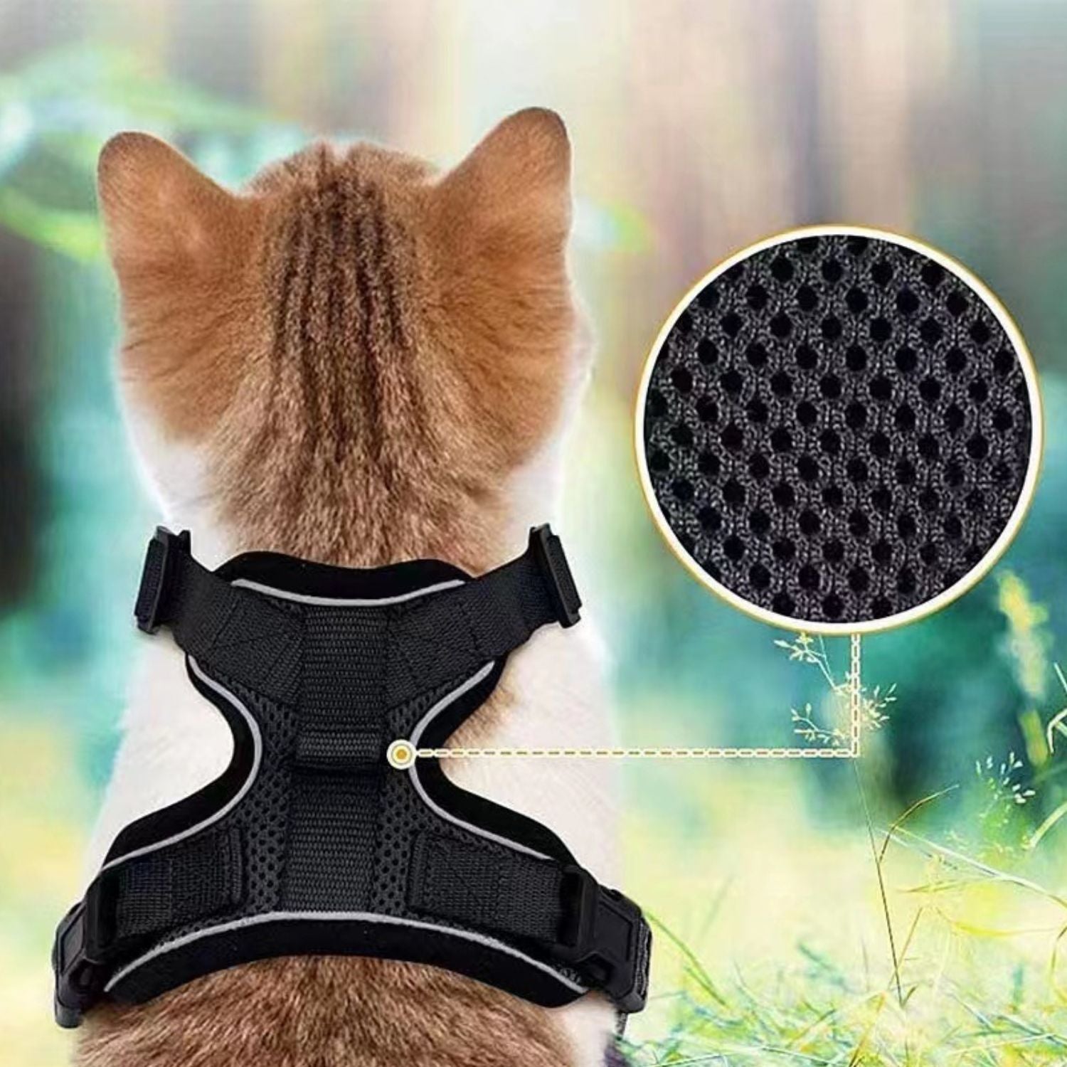 Veilig Kattenharnas Lijnenset met comfortabele halsband en veiligheidslijn