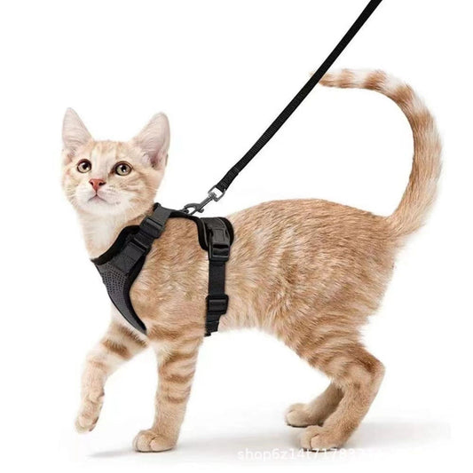 Veilig Kattenharnas lijnenset met aanpasbare borstband en duurzaam design